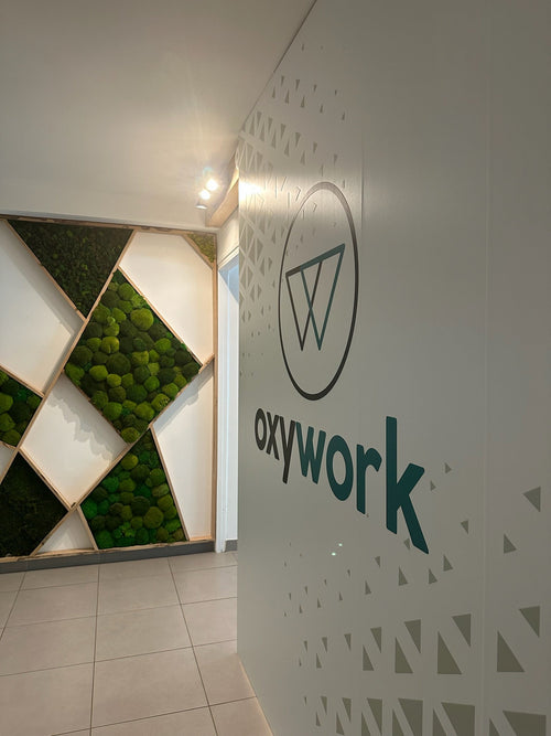 Repas d'entreprise à Grenoble : un chef privé chez Oxywork